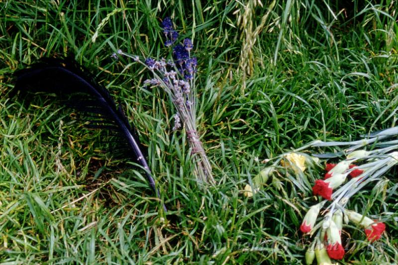 Offerings at the stones, Avebury, Wiltshire.jpg